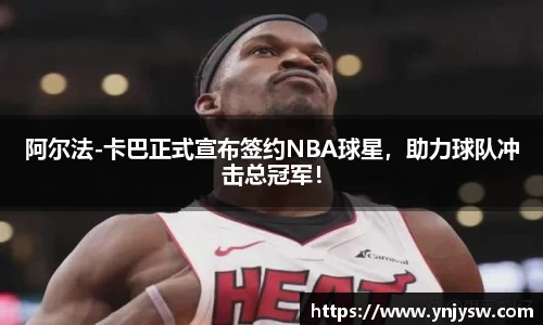333体育官网