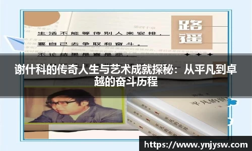 333体育平台