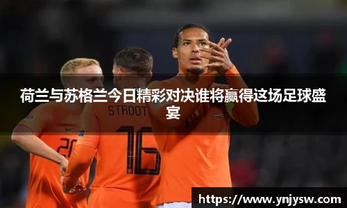 333体育官网