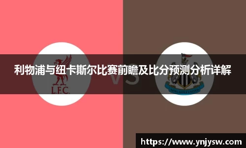 333体育官网